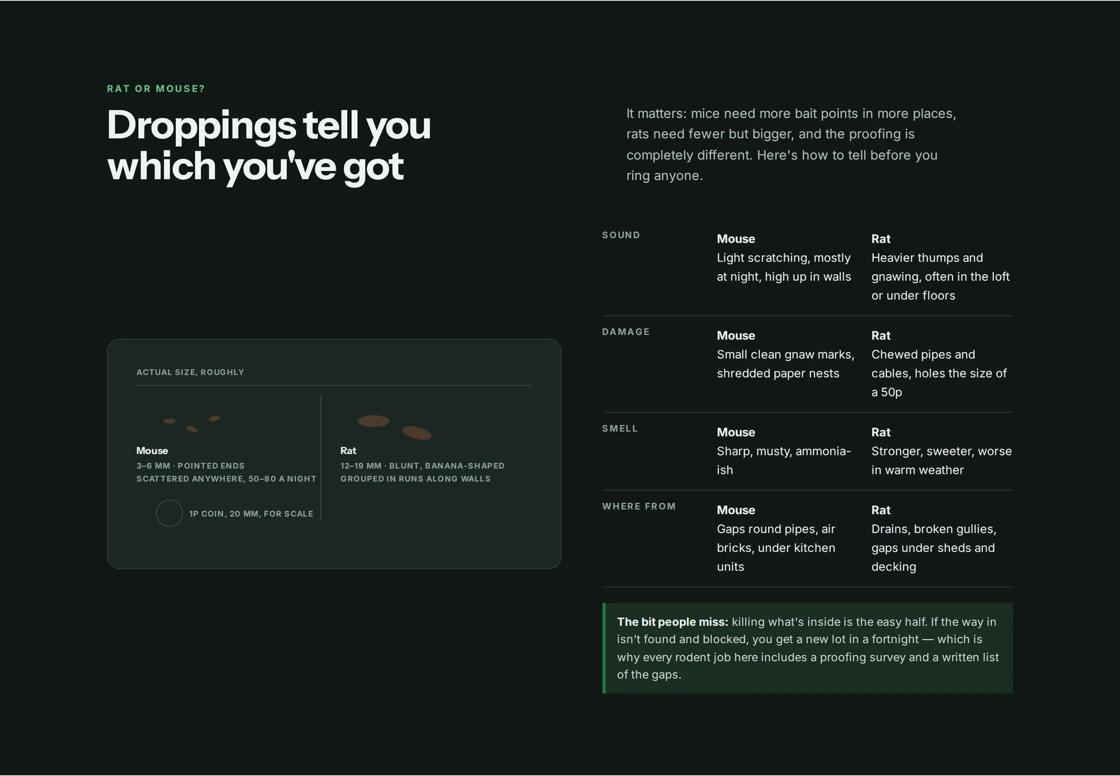 An identification guide on a pest control website designed by Central Systems, headed droppings tell you which you have got. A dark panel draws mouse and rat droppings at roughly actual size against a penny for scale, and a table beside it compares the two on sound, damage, smell and where they get in.