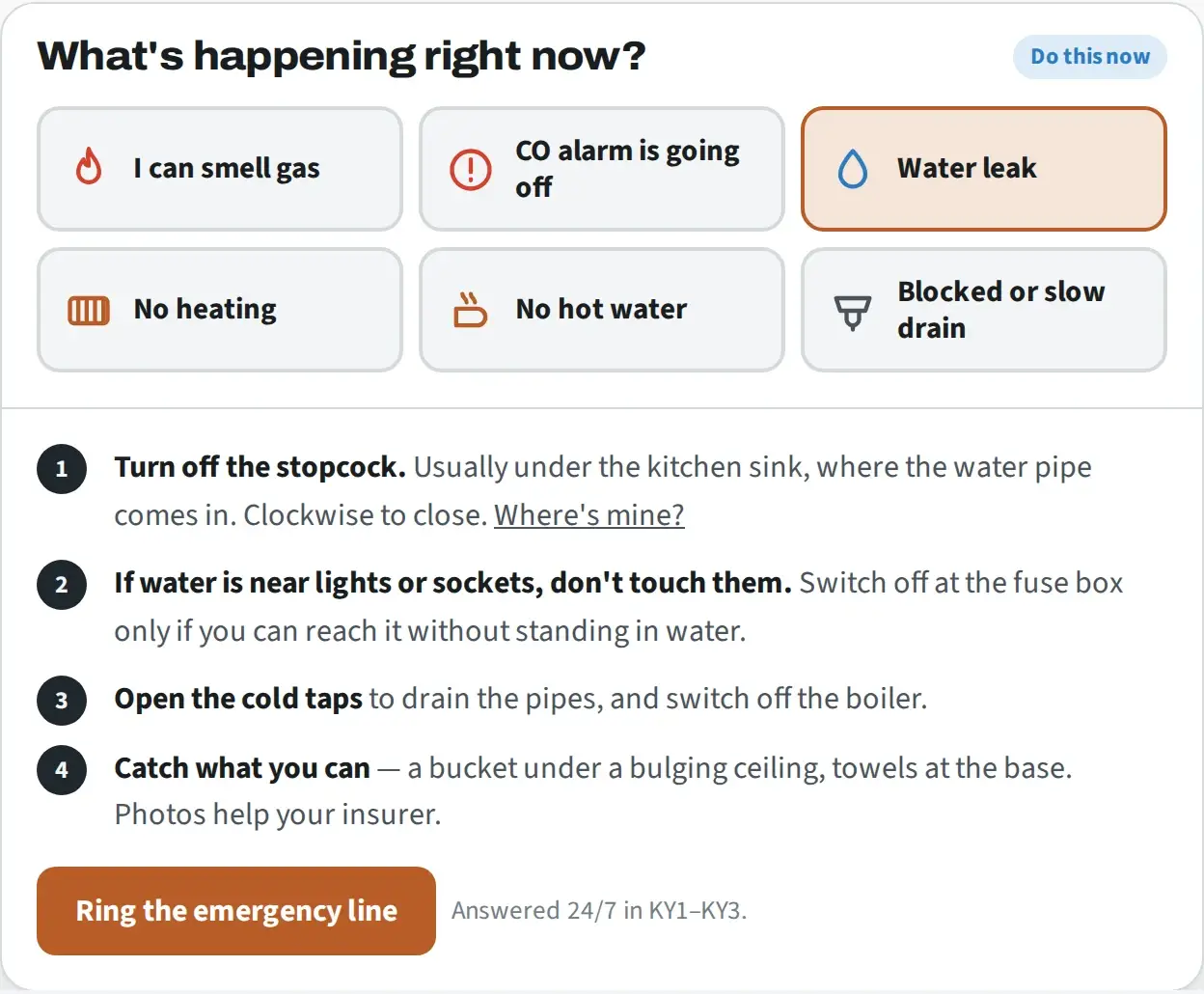 An emergency triage panel designed by Central Systems: six symptom buttons covering gas smell, a carbon monoxide alarm, a water leak, no heating, no hot water and a blocked drain, with the leak option selected to reveal four numbered steps to take immediately and a button to ring the emergency line.