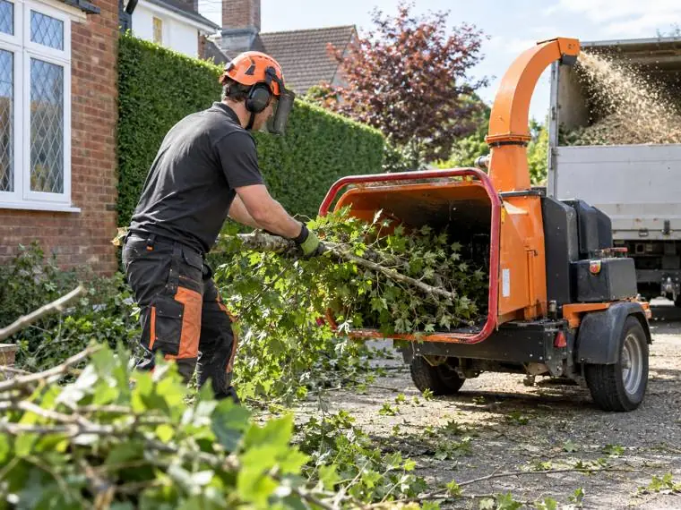 A tree surgeon feeding brash into a wood chipper towed behind a tipper truck on a suburban driveway, with the cut hedge and house behind.