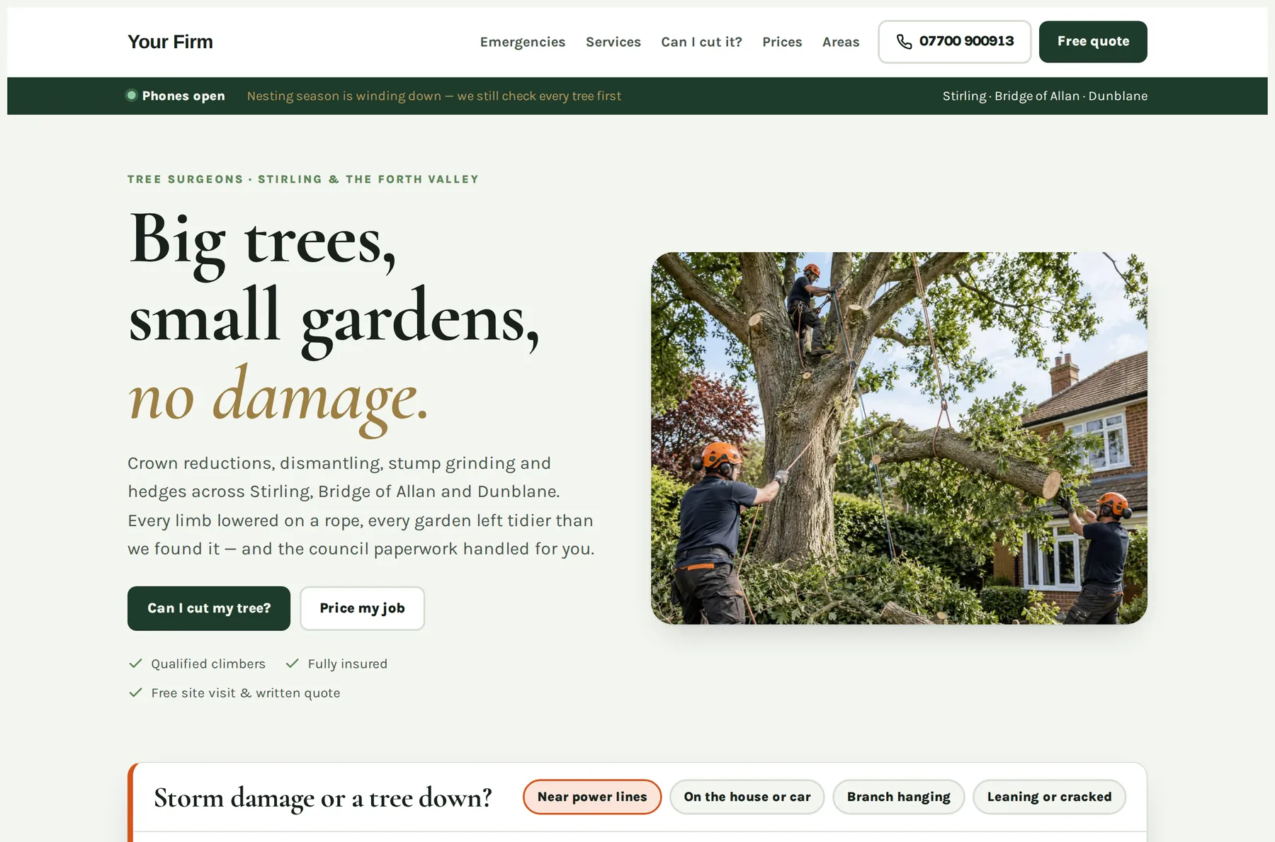 The home page of a tree surgery website designed by Central Systems, with navigation for emergencies, services, a protected-tree checker, prices and areas covered, above a headline reading big trees, small gardens, no damage.